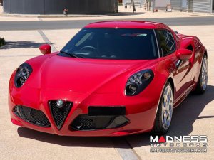 Alfa Romeo 4C Carbon Fiber Front Bumper Center Grille Frame 